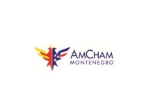 AmCham MNE domaćin konferencije koja okuplja AmCham-ove iz cijele Evrope thumb1.jpg