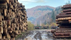 Bogati šumama, a patos i lamperiju uvozimo iz Austrije thumb1.jpg