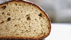 Najstariji ostaci hljeba pronađeni u Turskoj thumb1.jpg