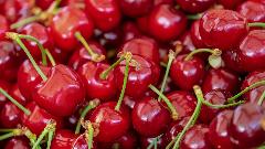 Holandija povukla višnje iz Srbije zbog prisustva pesticida thumb1.jpg