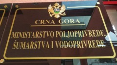 Ministarstvo će tražiti pomoć od trgovačkih lanaca i zemalja regiona za otkup mlijeka  thumb1.jpg