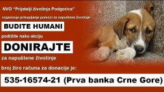 Akcija za napuštene životinje: Potrebna hrana, smještaj i pomoć veterinara thumb1.jpg