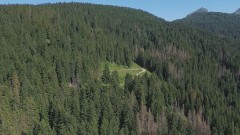 Štete od potkornjaka mjere se milionima thumb1.jpg