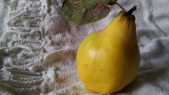 Plod dunje- vitaminska bomba i kraljica jeseni thumb1.jpg