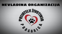 Prijatelji životinja: Tražimo najstrožu kaznu za ubicu pasa thumb1.jpg