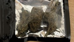 Uhapšena tri državljanina Crne Gore u Trebinju, pronađeno 90 kg marihuane thumb1.jpg