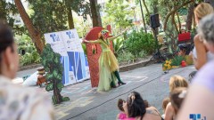 TMF: Raznovrsno muzičko krstarenje od juna do avgusta thumb1.jpg