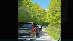 Bojović: Svakodnevna blokada puta u Šavniku ozbiljno ugrožava početak turističke sezone thumb1.jpg