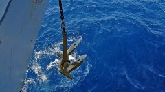 WWF: Sidrenje brodova prijeti uništenju 50.000 hektara posidonije u Sredozemlju thumb1.jpg