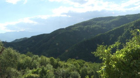 Pogledi iz domovine 10.08.2025 thumb2.jpg