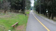 Nije bilo pokušaja podmetanja požara na Gorici, posjetioci nijesu znali da je park zatvoren thumb1.jpg