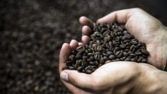 Prvi pad cijene kafe u godinu i po thumb1.jpg