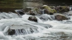 Ekocid u rijeci Bistrica thumb1.jpg