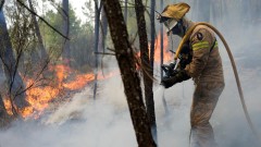 Ove godine najgora sezona šumskih požara u Evropi ikada zabilježena thumb1.jpg