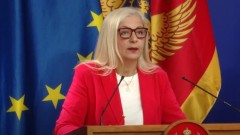 Despotović: SDT duže od dvije godine ne odgovara na sumnje u vezi projekta Meljine - Petijevići thumb1.jpg