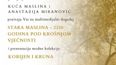 Multimedijalni događaj na obilježavanju jubileja Stare masline na Mirovici thumb1.jpg