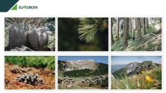 Crnogorska fotografkinja Marija Šoškić Popović osvojila nagradu "EU4Green"  thumb1.jpg