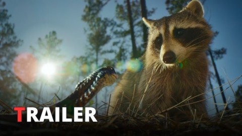 Netfliks objavio horor dokumentarnu seriju o prirodi: "Genijalna ideja" thumb2.jpg
