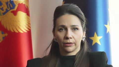 Adžović: Crna Gora bira evropski put rasta, povjerenja i razvoja thumb2.jpg