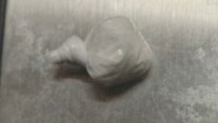 Kod Budvanina pronađen kokain, odgovaraće prekršajno thumb1.jpg