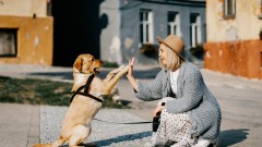 Studija pokazala kakav uticaj psi mogu imati na zdravlje žena thumb1.jpg