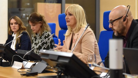 Borovinić Bojović: Evropa je izbor Podgorice, neka Podgorica bude izbor Evrope thumb2.jpg