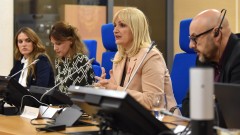 Borovinić Bojović: Evropa je izbor Podgorice, neka Podgorica bude izbor Evrope thumb1.jpg