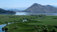 NPCG: Kandidatura Skadarskog jezera za UNESCO listu put ka očuvanju prirodnog i kulturnog nasljeđa thumb1.jpg