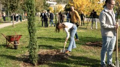 ASPUCG: "Stablo znanja“ zasadilo više od 60 studenata u parku na Staroj Zlatici thumb1.jpg