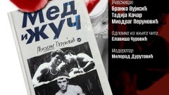 Sjutra promocija knjige „Med i žuč“ Miodraga Perunovića thumb1.jpg