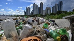 Životna sredina: Bakterije koje jedu plastiku pomažu u samouništenju otpada