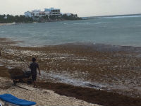 Bistru vodu Kariba zamutile smrdljive alge