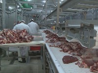 Značajna pomoć države, neće biti otpuštanja prilog-krsto.transferframe2975.jpeg