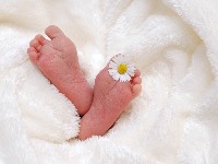 U Strategiji ne piše da se abortusi vrše zbog pola baby-7181461280.jpg
