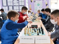Sjutra pojedinačno školsko prvenstvo Crne Gore u šahu