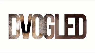 Dvogled 23.05.2021 dvogled.jpg