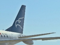 Stečajni postupak u MA transparentan pok-montenegro-airlinesframe528.jpeg