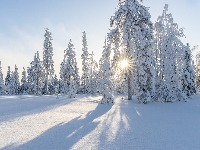 Najviše snijega na Žabljaku, najmanje u Beranama