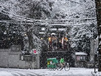Ulice Tokija od jutros su pod snijegom