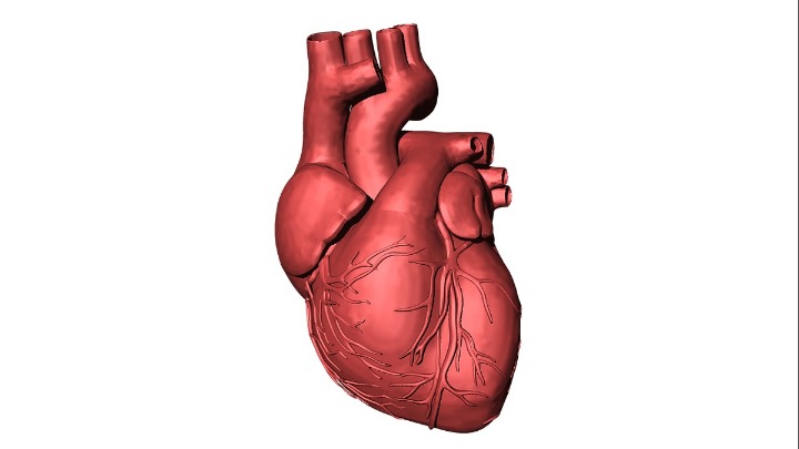 Studija pokazala kako omikron utiče na zdravlje srca