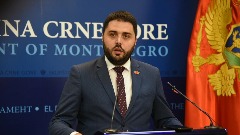 Martinović: Abazović je dopustio da se Crnoj Gori desi Milović