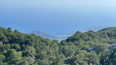 Šetnja po zelenom Lovćenu Šetnja po zelenom Lovćenu